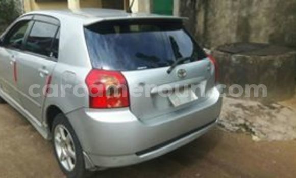Acheter Occasion Voiture Toyota Runx Gris à Douala, Littoral Cameroon Acheter Occasion Voiture Toyota Runx Gris à Douala, Littoral Cameroon