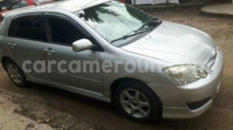 Big with watermark 65846898 1042133132658767 2701968895190761472 n