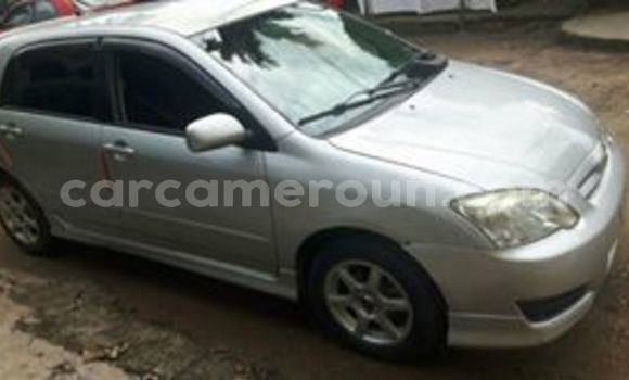Acheter Occasion Voiture Toyota Runx Gris à Douala, Littoral Cameroon Acheter Occasion Voiture Toyota Runx Gris à Douala, Littoral Cameroon