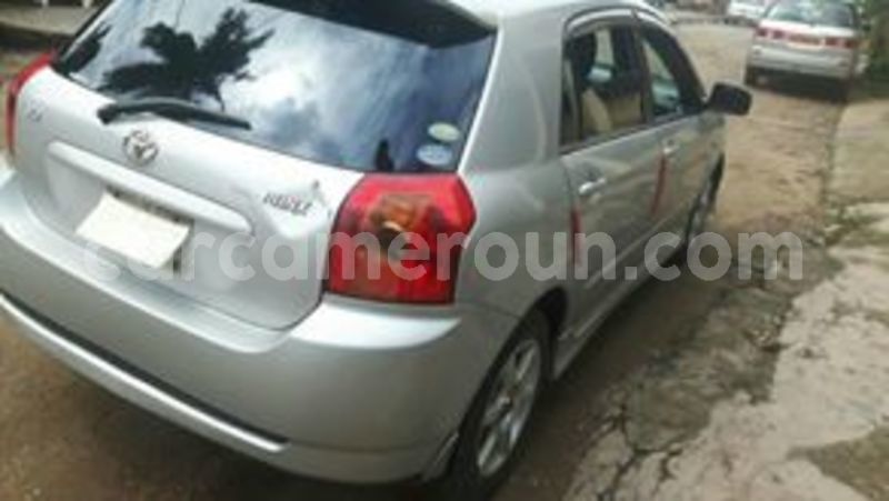 Big with watermark 65602151 1042133165992097 1177918317348782080 n