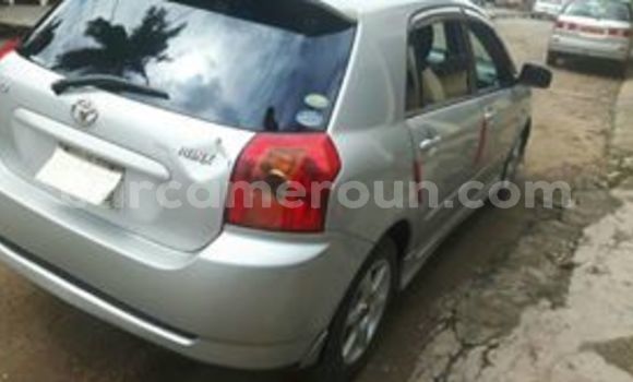 Acheter Occasion Voiture Toyota Runx Gris à Douala, Littoral Cameroon Acheter Occasion Voiture Toyota Runx Gris à Douala, Littoral Cameroon