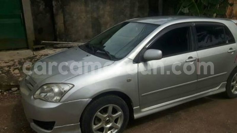 Big with watermark 65702039 1042133072658773 7899374223842344960 n