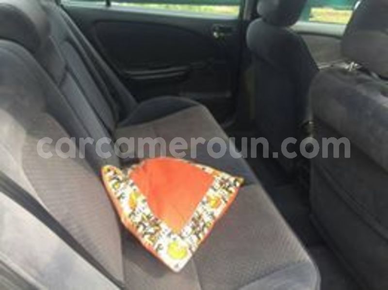 Big with watermark 65396082 1040356716169742 8044442078614126592 n