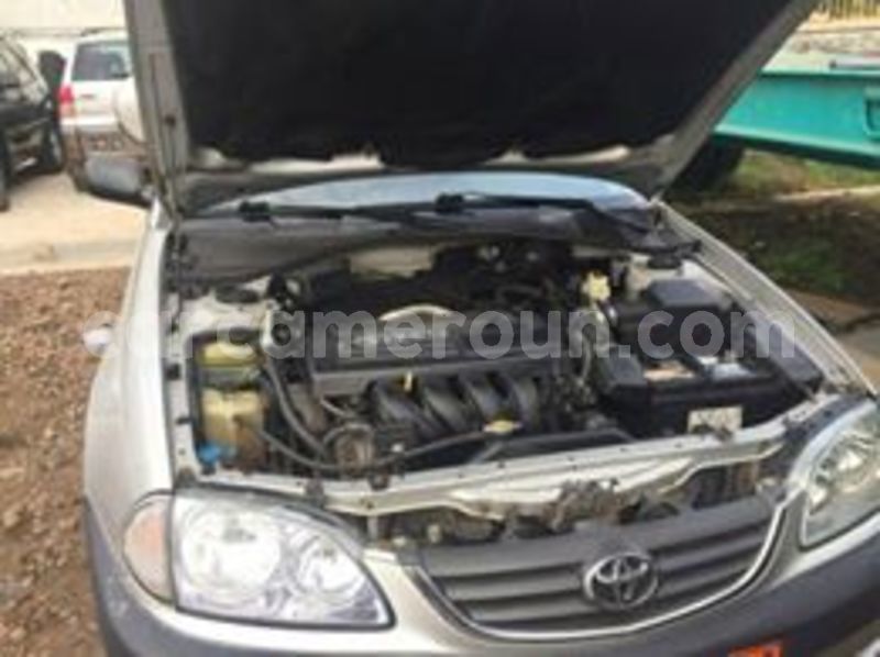 Big with watermark 66150047 1040356639503083 6484324465659346944 n