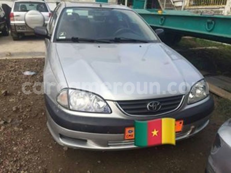 Big with watermark 65303527 1040356569503090 4378814424941592576 n