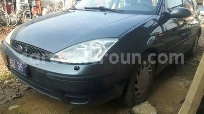 Big with watermark 65485645 1039337642938316 1872748677567610880 n