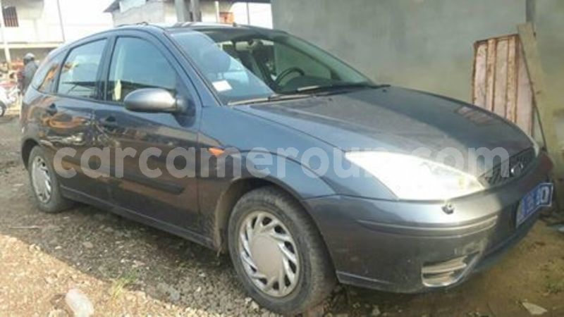 Big with watermark 65255956 1039337609604986 1964952593096507392 n