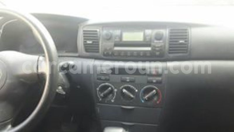 Big with watermark 65609467 1039271419611605 3153113965064617984 n