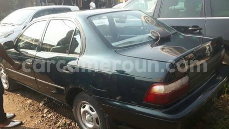 Big with watermark 65214596 1038859836319430 4919302128901554176 n