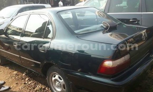 Acheter Occasion Voiture Toyota Corolla Noir à Douala, Littoral Cameroon Acheter Occasion Voiture Toyota Corolla Noir à Douala, Littoral Cameroon