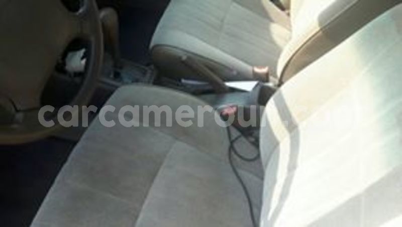 Big with watermark 65386167 1038859879652759 6475172878194049024 n