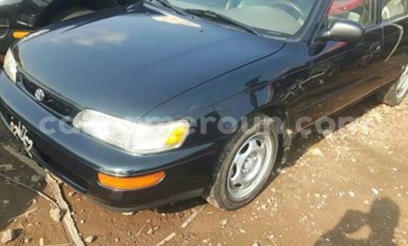 Acheter Occasion Voiture Toyota Corolla Noir à Douala, Littoral Cameroon Acheter Occasion Voiture Toyota Corolla Noir à Douala, Littoral Cameroon