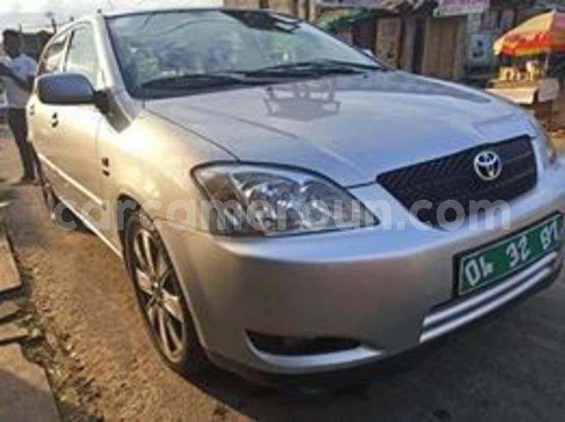 Big with watermark 65231090 1038561569682590 473128409006866432 n