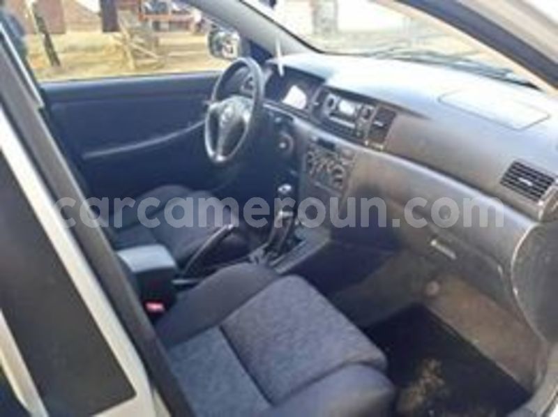 Big with watermark 65423525 1038561499682597 605090338578628608 n