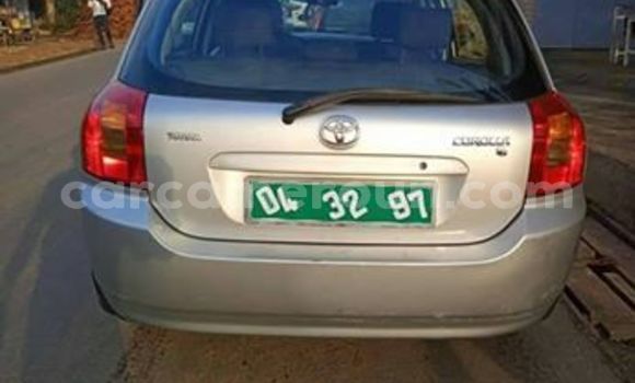 Acheter Occasion Voiture Toyota Corolla Gris à Douala, Littoral Cameroon Acheter Occasion Voiture Toyota Corolla Gris à Douala, Littoral Cameroon