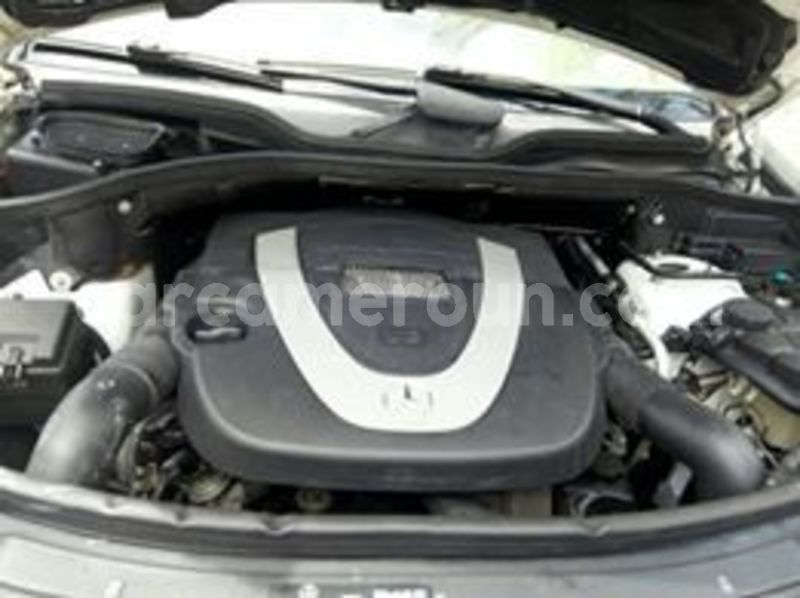 Big with watermark 65302508 1037865949752152 5437812549632393216 n