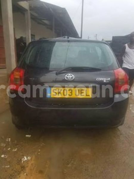 Big with watermark 65120551 1037408313131249 2944906036592508928 n