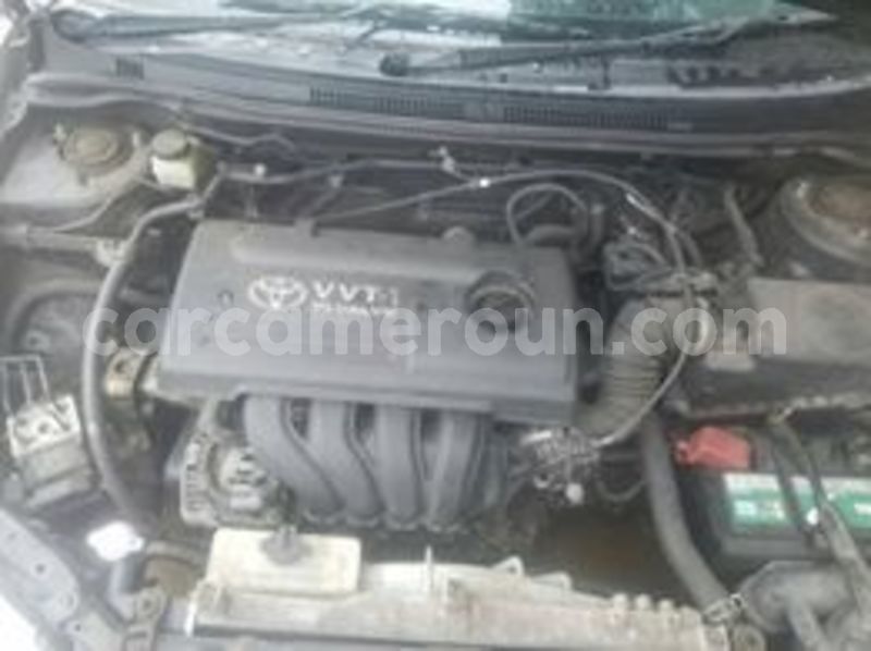 Big with watermark 65171759 1037408333131247 6758839091384549376 n