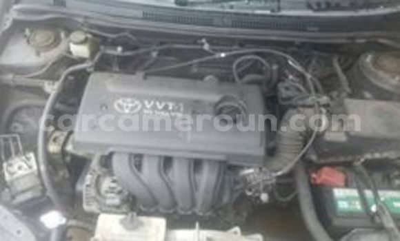 Acheter Occasion Voiture Toyota Corolla Noir à Douala, Littoral Cameroon Acheter Occasion Voiture Toyota Corolla Noir à Douala, Littoral Cameroon