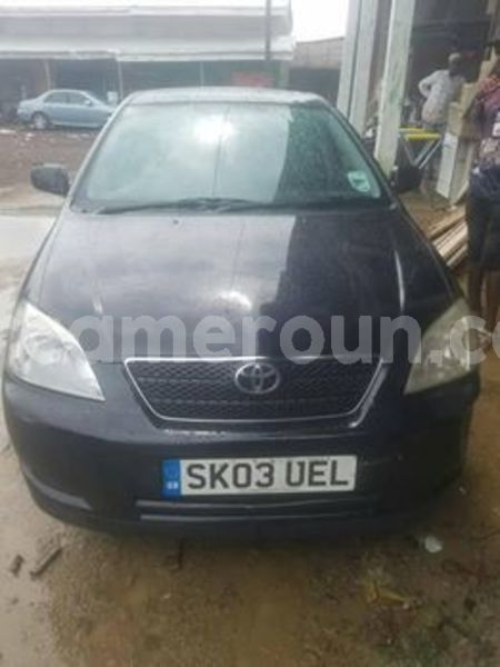 Big with watermark 65176037 1037408296464584 2029256259336667136 n