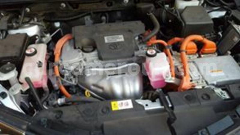 Big with watermark 65487338 1036933093178771 3857355655190937600 n