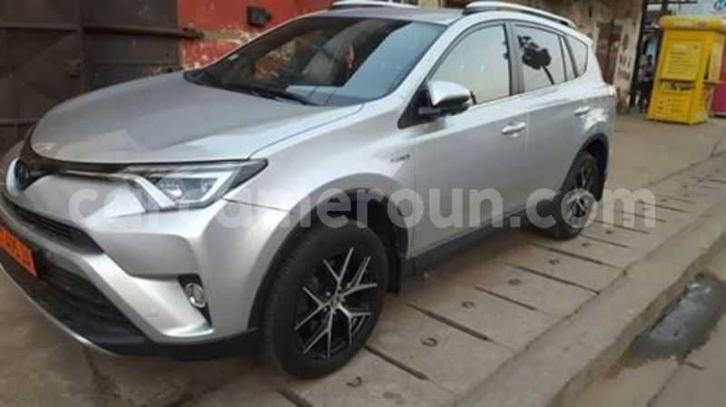 Big with watermark 65028085 1036932909845456 2618745657493553152 n