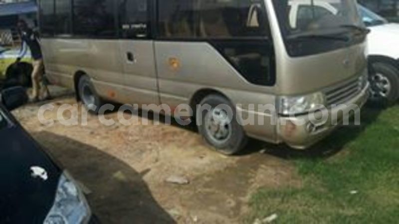 Big with watermark 64994918 1036632369875510 4363801817729990656 n