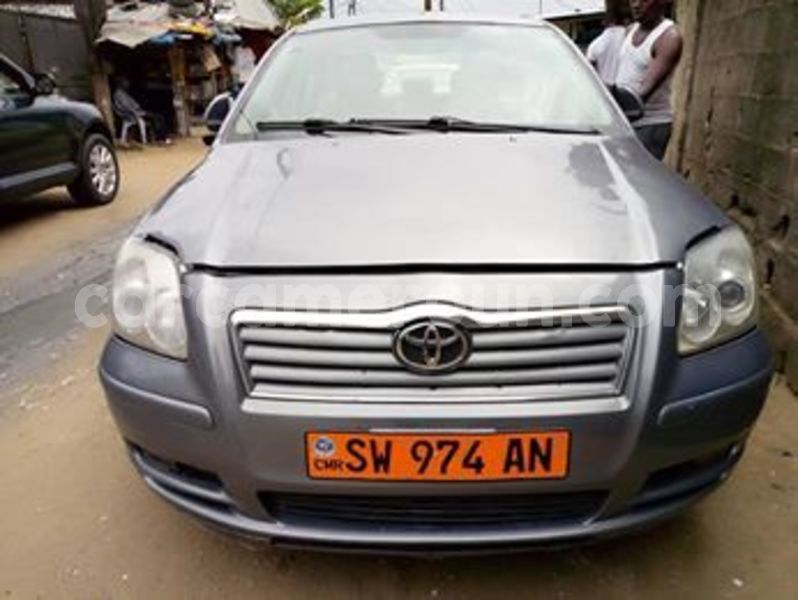 Big with watermark 66259826 1254575158055005 8174439210971824128 n