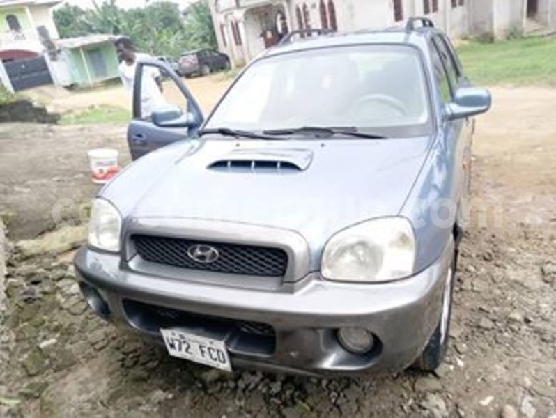 Big with watermark 65713285 1255252627987258 3375074971524005888 n