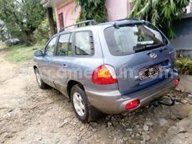 Big with watermark 66437850 1255252707987250 2260301302015721472 n