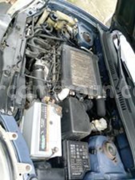 Big with watermark 66153795 1255252754653912 2616905117978329088 n