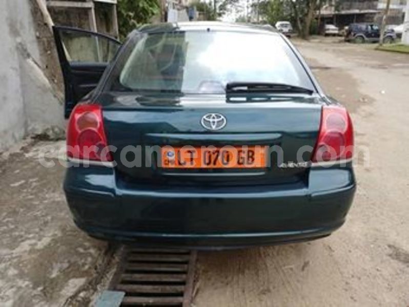 Big with watermark 66112700 1252756181570236 4565601835385094144 n