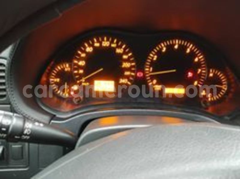 Big with watermark 65872431 1252756371570217 3368362414381727744 n