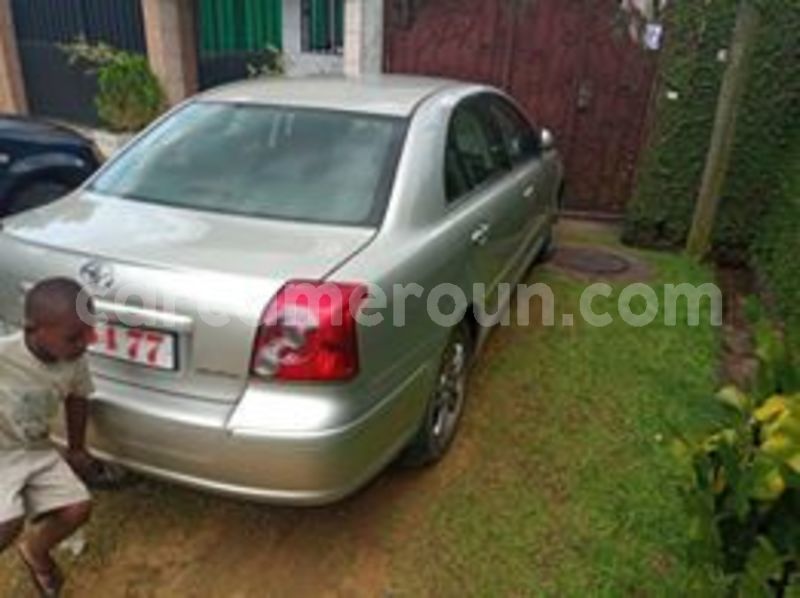 Big with watermark 65550548 1251665861679268 1718974683568668672 n