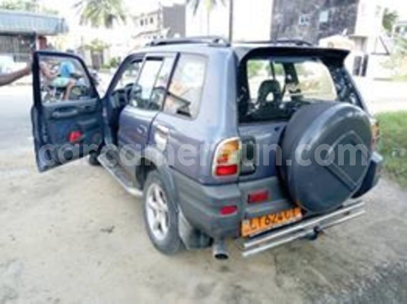 Big with watermark 64789662 1247852035393984 9043413826275377152 n