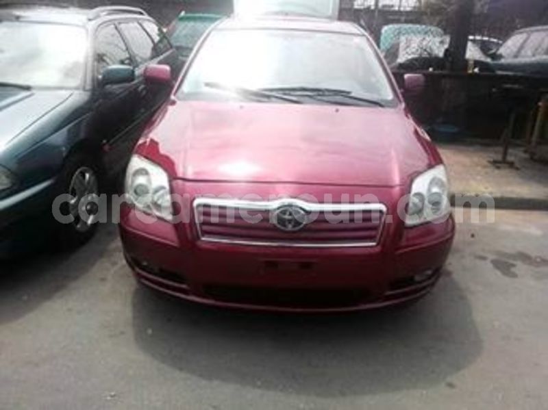 Big with watermark 64741812 1241243742721480 7657315433317400576 n