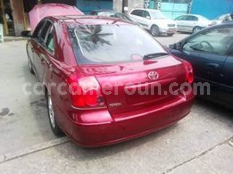 Big with watermark 62602041 1241243829388138 5871644906983784448 n