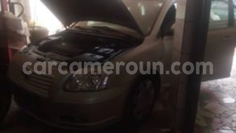 Big with watermark 62144901 1236468693198985 3955872945011687424 n