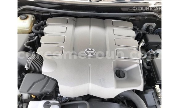 Acheter Import Voiture Toyota Land Cruiser Blanc à Import - Dubai, Adamawa Acheter Import Voiture Toyota Land Cruiser Blanc à Import - Dubai, Adamawa