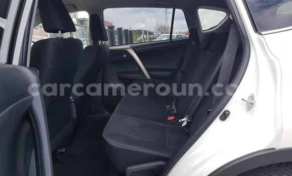 Sayi Na hannu Toyota RAV4 Sauran Mota in Yaounde a Babban Kamaru Sayi Na hannu Toyota RAV4 Sauran Mota in Yaounde a Babban Kamaru