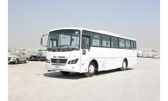 Sayi Imported Tata Telcoline White Mota in Import - Dubai a Adamawa