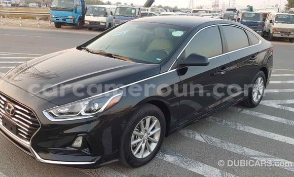Acheter Import Voiture Hyundai Sonata Noir à Import - Dubai, Adamawa Acheter Import Voiture Hyundai Sonata Noir à Import - Dubai, Adamawa