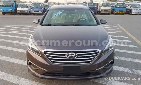 Acheter Import Voiture Hyundai Sonata Marron à Import - Dubai, Adamawa Acheter Import Voiture Hyundai Sonata Marron à Import - Dubai, Adamawa