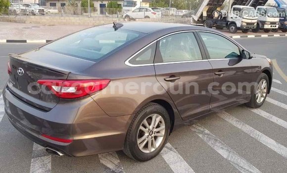 Acheter Import Voiture Hyundai Sonata Marron à Import - Dubai, Adamawa Acheter Import Voiture Hyundai Sonata Marron à Import - Dubai, Adamawa