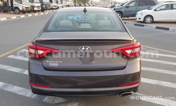 Acheter Import Voiture Hyundai Sonata Marron à Import - Dubai, Adamawa Acheter Import Voiture Hyundai Sonata Marron à Import - Dubai, Adamawa