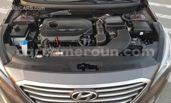 Acheter Import Voiture Hyundai Sonata Marron à Import - Dubai, Adamawa Acheter Import Voiture Hyundai Sonata Marron à Import - Dubai, Adamawa
