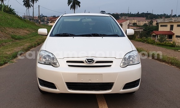 Acheter Import Voiture Toyota Allex Blanc à Yaoundé, Central Cameroon Acheter Import Voiture Toyota Allex Blanc à Yaoundé, Central Cameroon