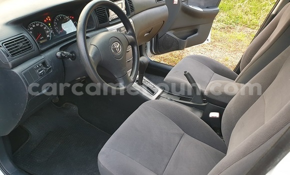 Acheter Import Voiture Toyota Allex Blanc à Yaoundé, Central Cameroon Acheter Import Voiture Toyota Allex Blanc à Yaoundé, Central Cameroon