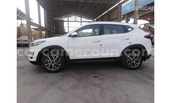 Sayi Imported Hyundai Tucson White Mota in Import - Dubai a Adamawa Sayi Imported Hyundai Tucson White Mota in Import - Dubai a Adamawa