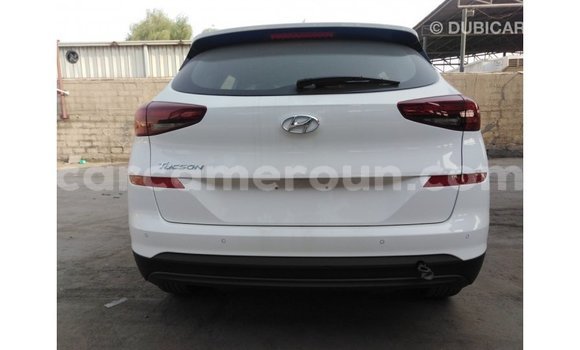 Sayi Imported Hyundai Tucson White Mota in Import - Dubai a Adamawa Sayi Imported Hyundai Tucson White Mota in Import - Dubai a Adamawa
